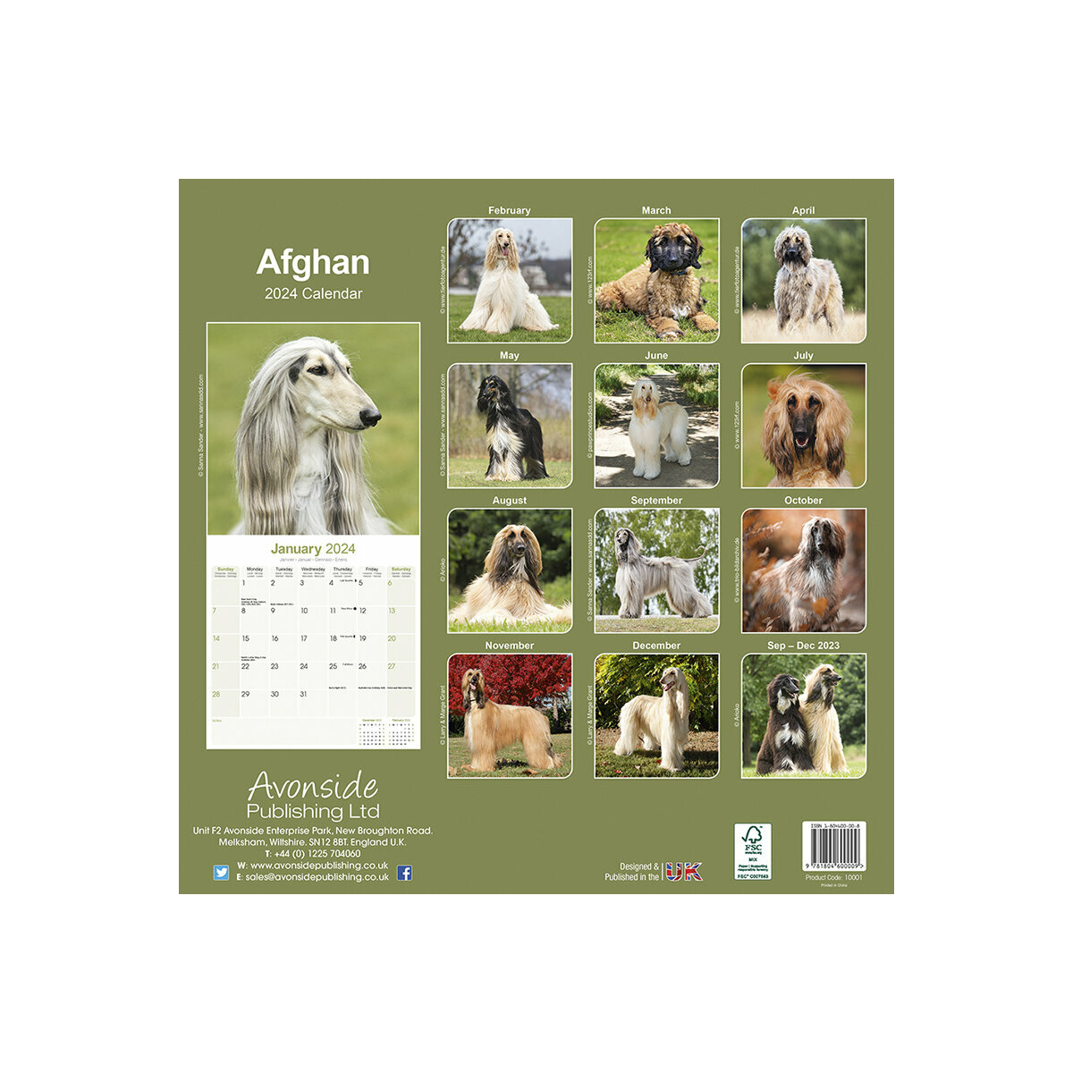 calendrier Lévrier Afghan 2024