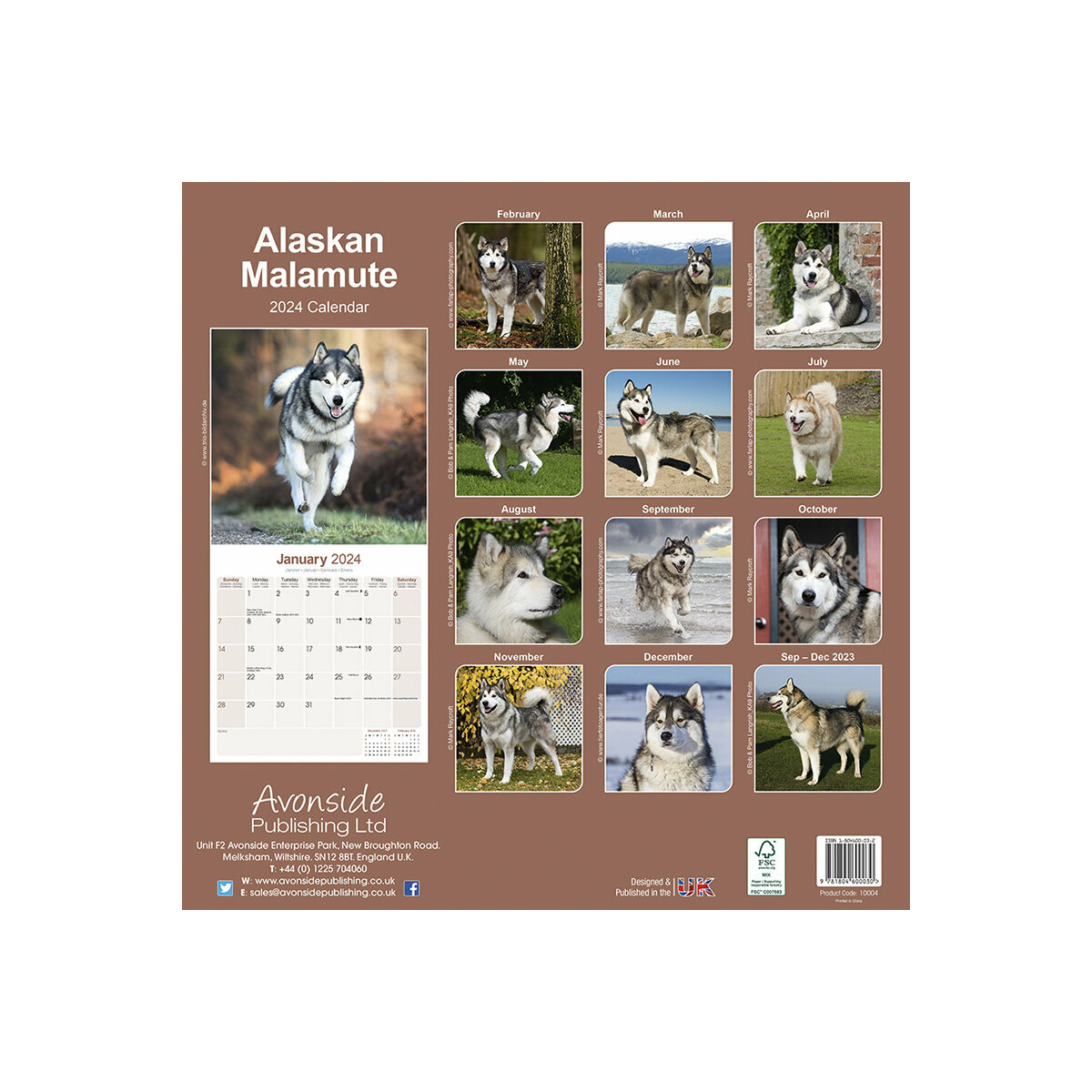 calendrier Alaskan malamute 2024