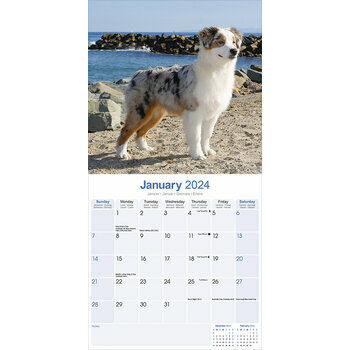 Calendrier 2024 Berger australien Calendrier 2024 Berger australien