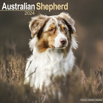 Calendrier 2024 Berger australien Calendrier 2024 Berger australien