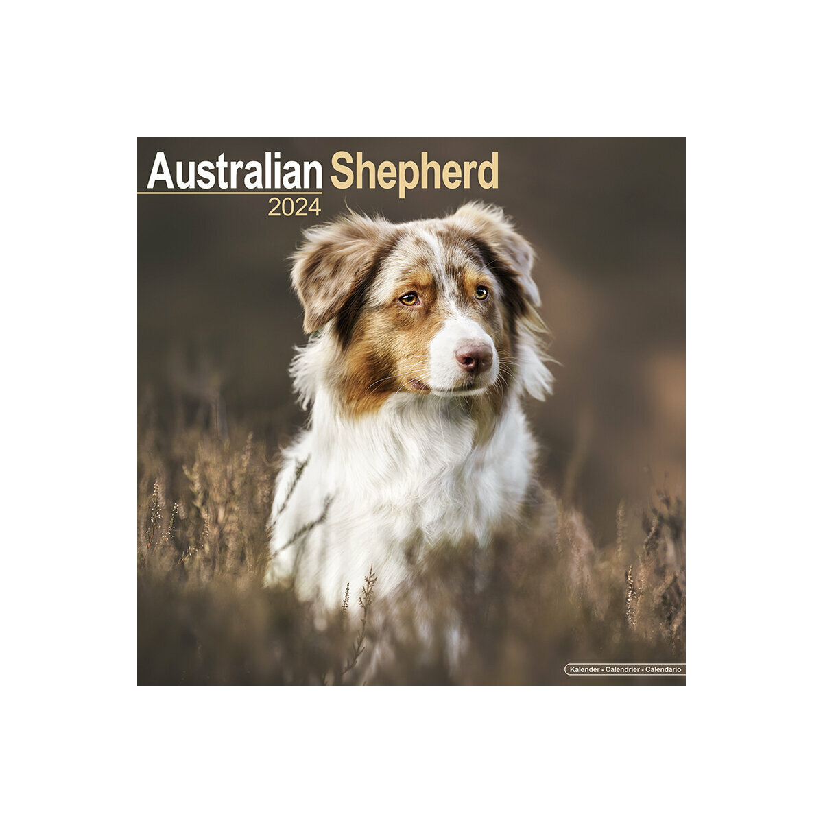 calendrier Berger australien 2024