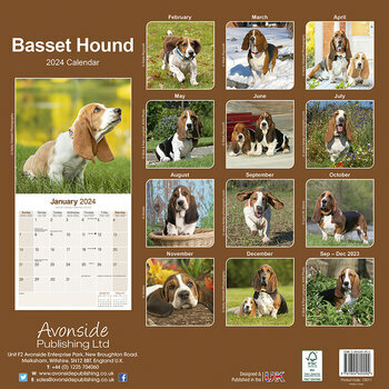 Calendrier 2024 Basset hound Calendrier 2024 Basset hound