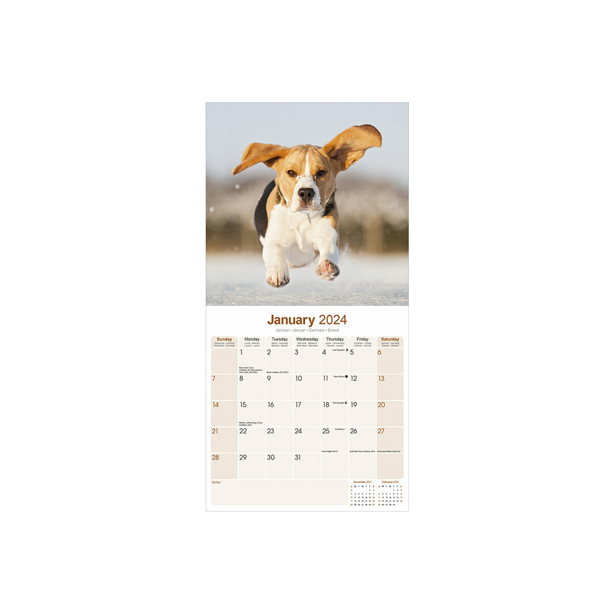 calendrier Beagle 2024