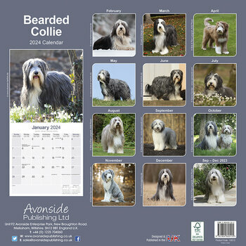 Calendrier 2024 Bearded collie