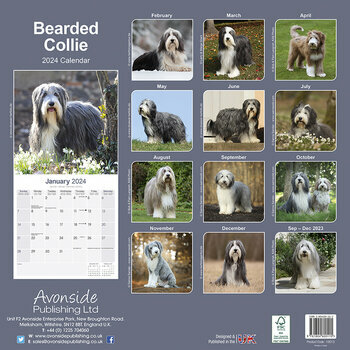 Calendrier 2024 Bearded collie Calendrier 2024 Bearded collie
