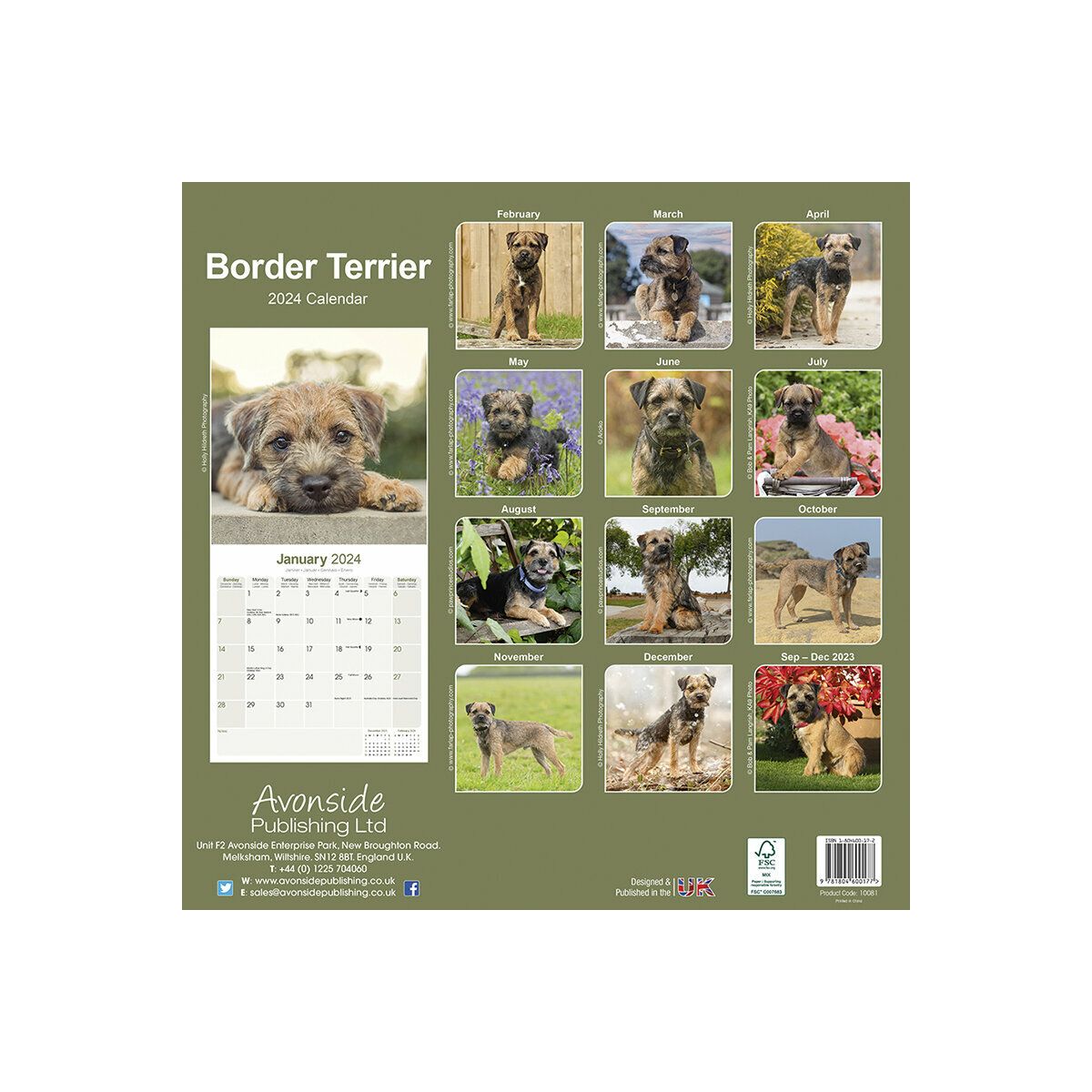 calendrier Border terrier 2024