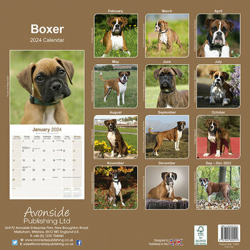 Calendrier 2024 Boxer Calendrier 2024 Boxer
