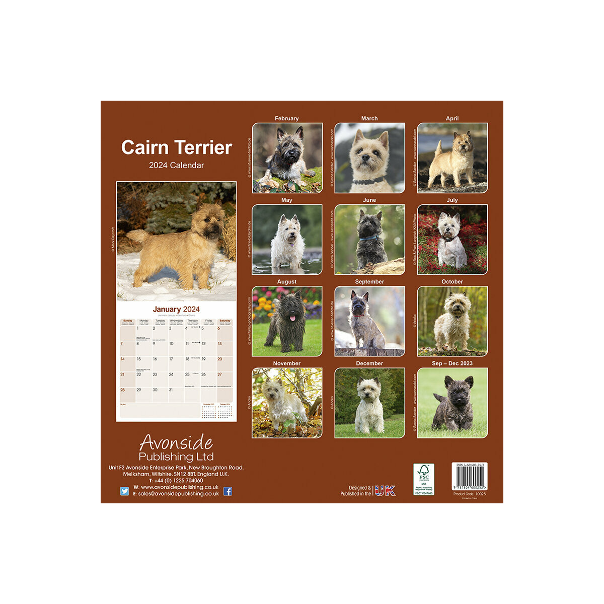 Calendrier Mural 2026 Cairn Terrier - Format A3 (297x420 Mm) - 12 Photos De Chiens Adorables