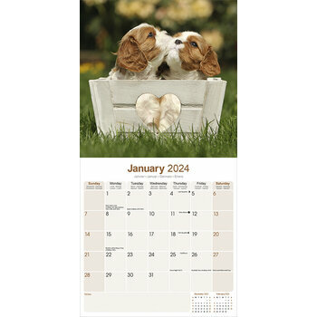 Calendrier 2024 Cavalier king charles Calendrier 2024 Cavalier king charles