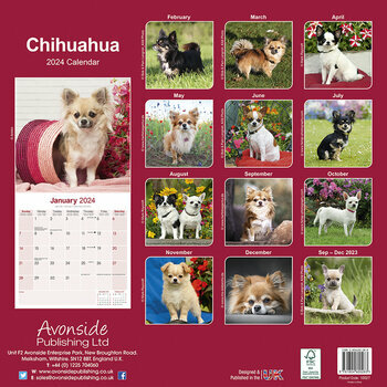 Calendrier 2024 Chihuahua Calendrier 2024 Chihuahua