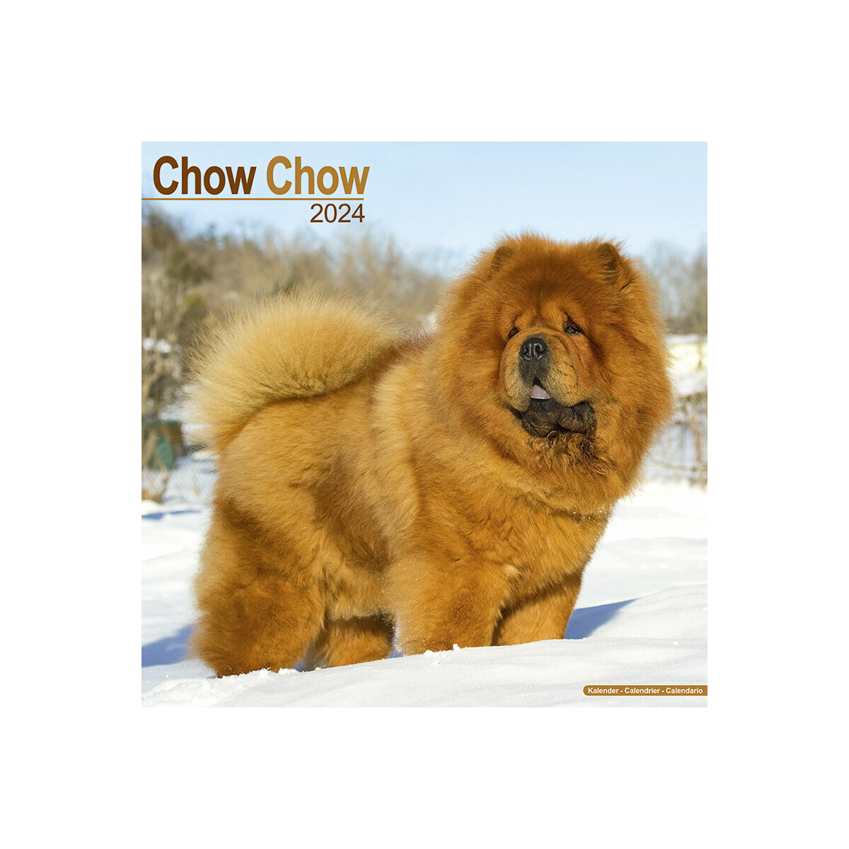 calendrier Chow chow 2024