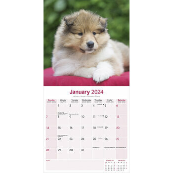 Calendrier 2024 Colley