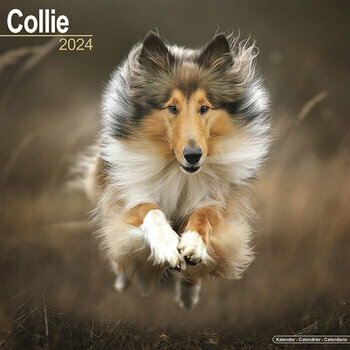 Calendrier 2024 Colley