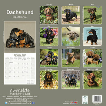 Calendrier 2024 Teckel Calendrier 2024 Teckel