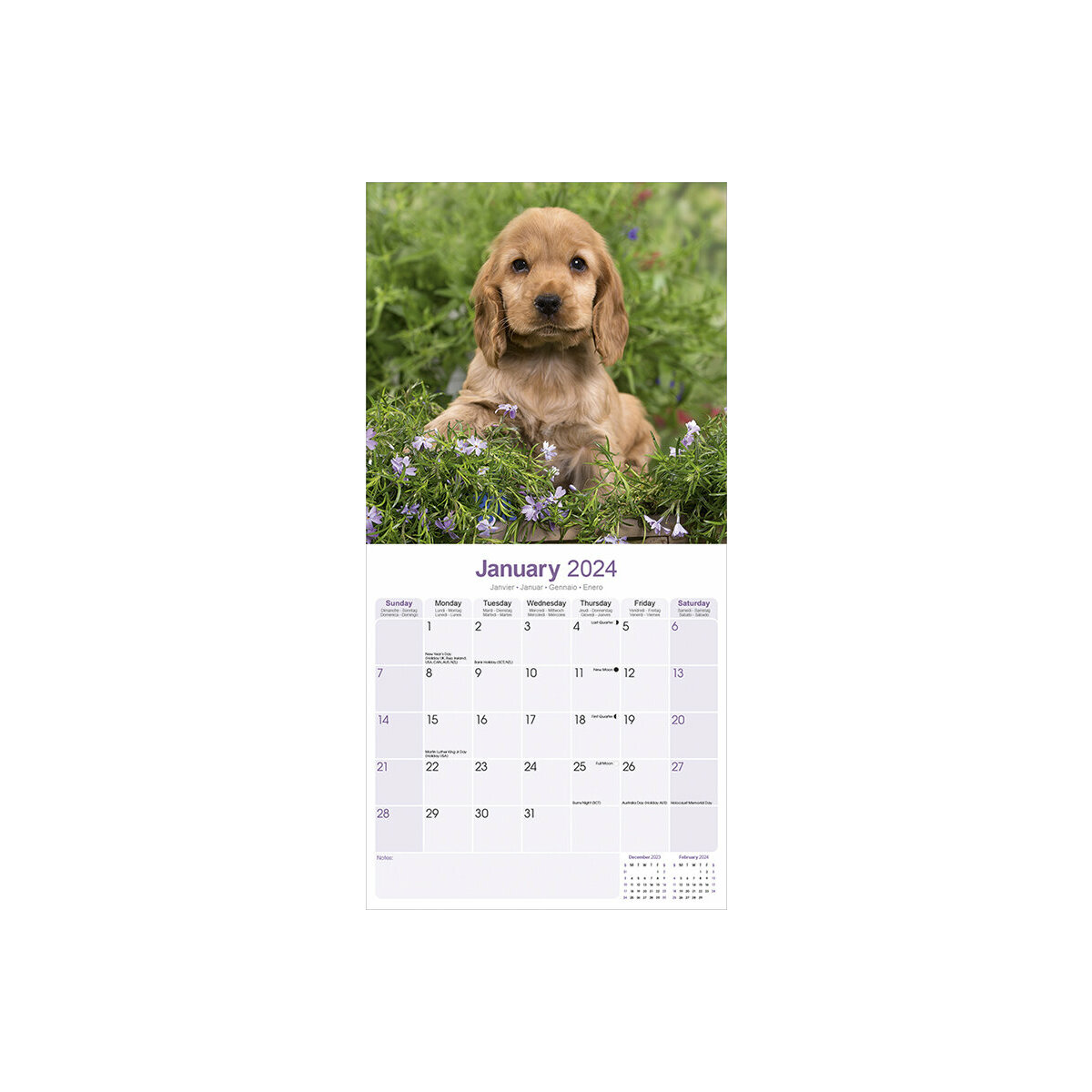 calendrier Cocker anglais 2024