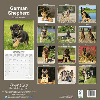 Calendrier 2024 Berger allemand Calendrier 2024 Berger allemand