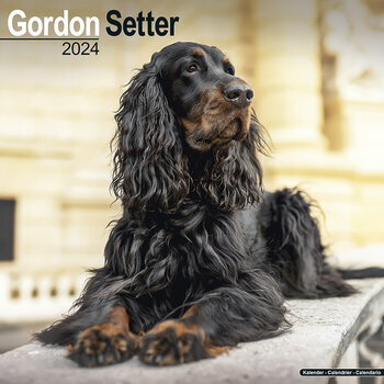 Calendrier 2024 Setter gordon