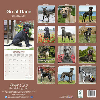 Calendrier 2024 Dogue allemand