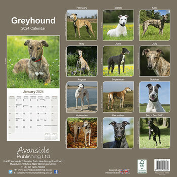 Calendrier 2024 Greyhound