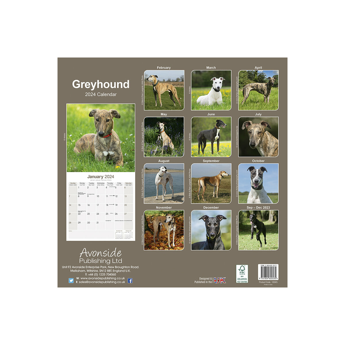 calendrier Greyhound 2024