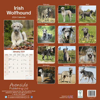 Calendrier 2024 Irish wolfhound