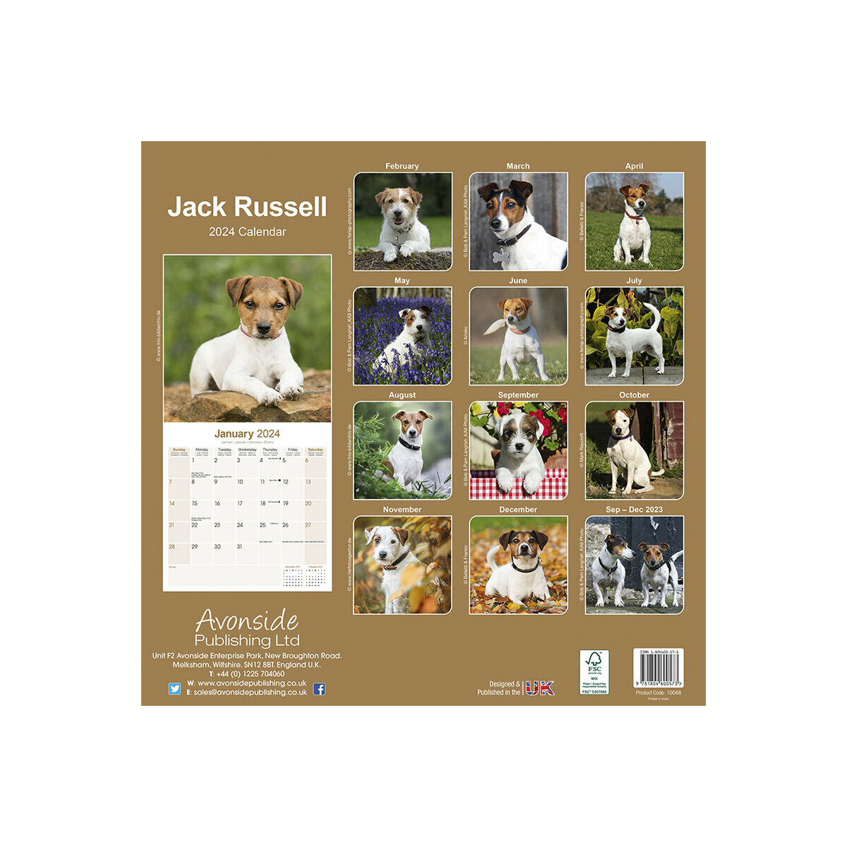 calendrier Jack russell 2024