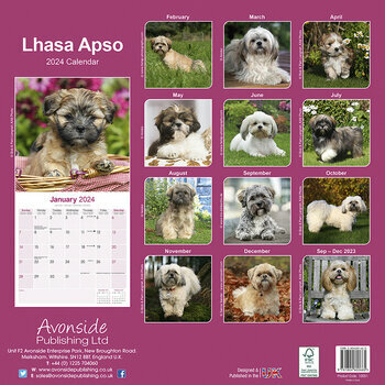 Calendrier 2024 Lhassa apso