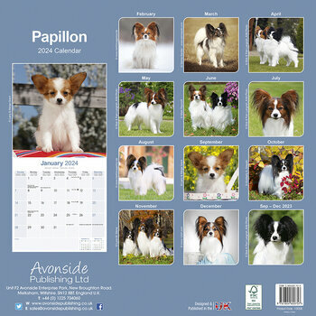 Calendrier 2024 Epagneul papillon
