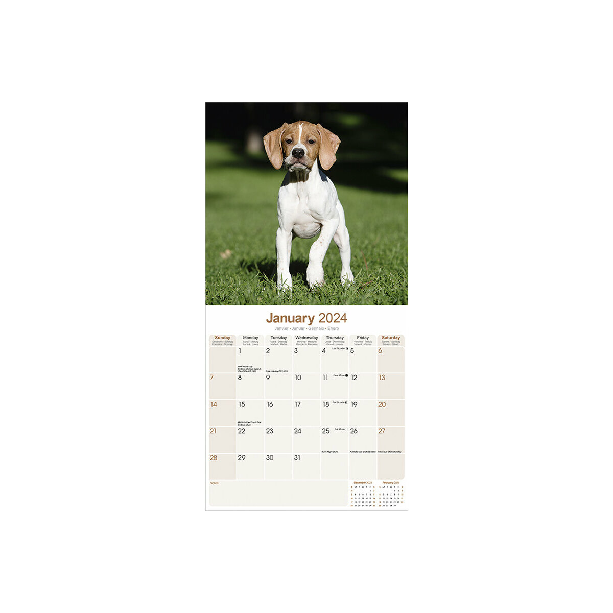 calendrier Pointer 2024