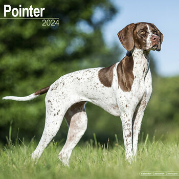 Calendrier 2024 Pointer