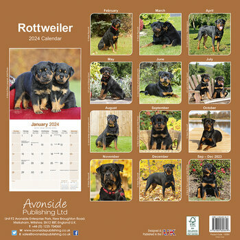 Calendrier 2024 Rottweiler Calendrier 2024 Rottweiler