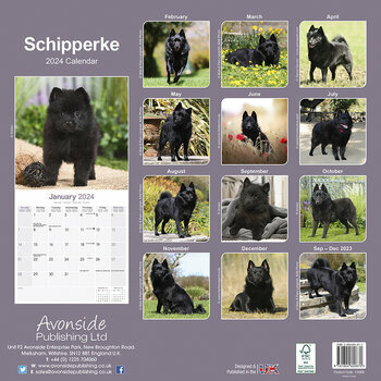 Calendrier 2024 Schipperke