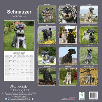 Calendrier 2024 Schnauzer
