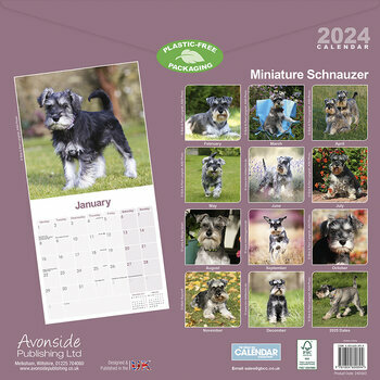 Calendrier 2024 Schnauzer nain