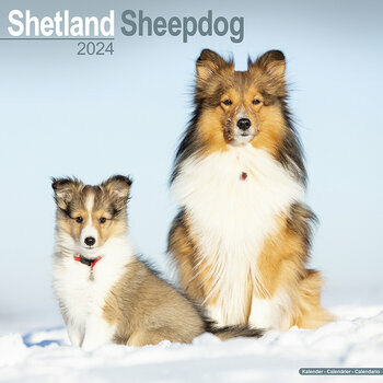 Calendrier 2024 Shetland