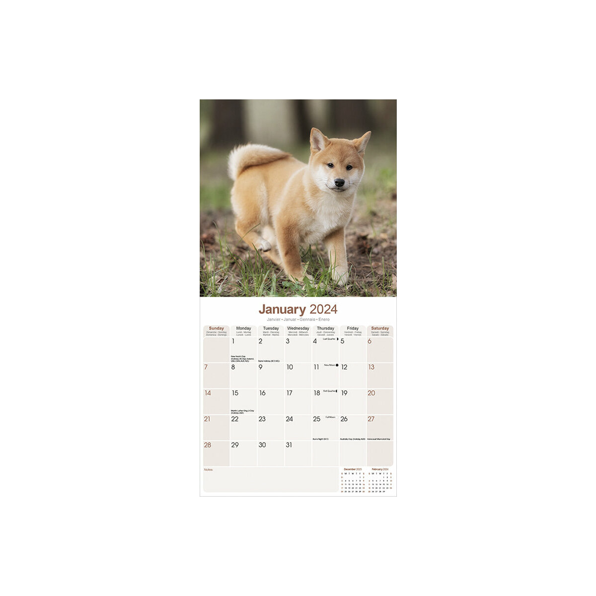 calendrier Shiba inu 2024
