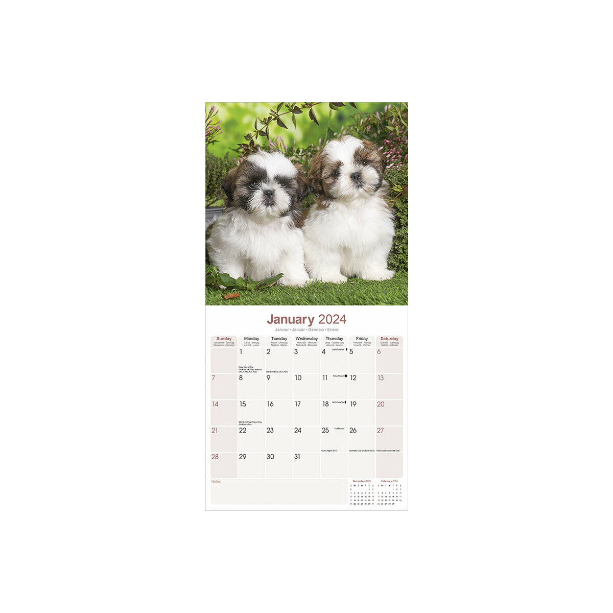 calendrier Shih tzu 2024