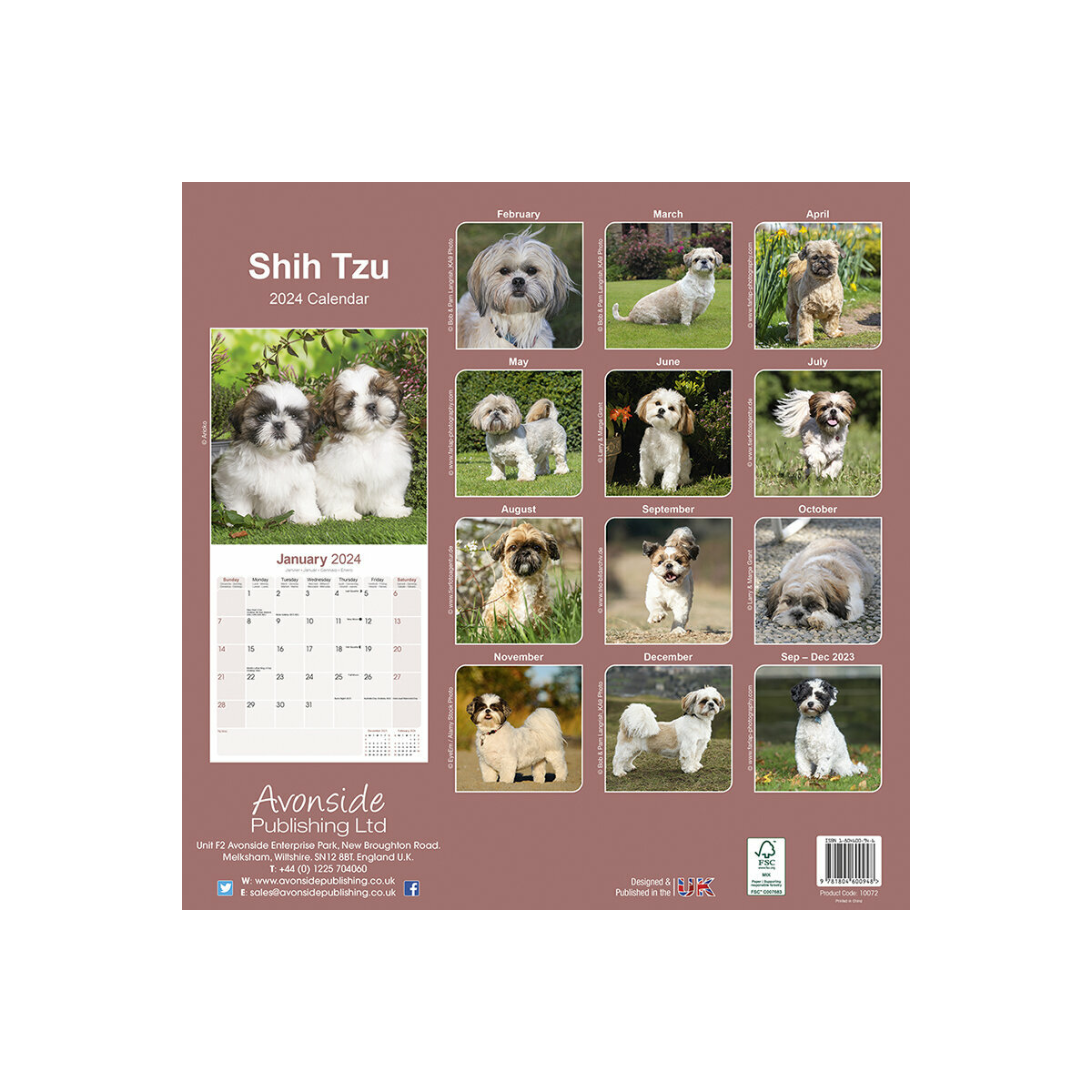 calendrier Shih tzu 2024