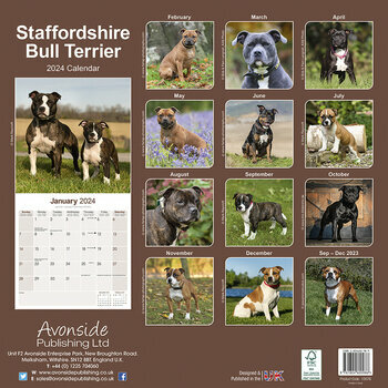 Calendrier 2024 Staffordshire bull terrier