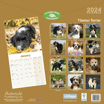 Calendrier 2024 Terrier du Tibet