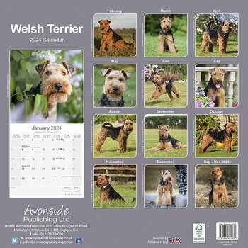 Calendrier 2024 Welsh terrier