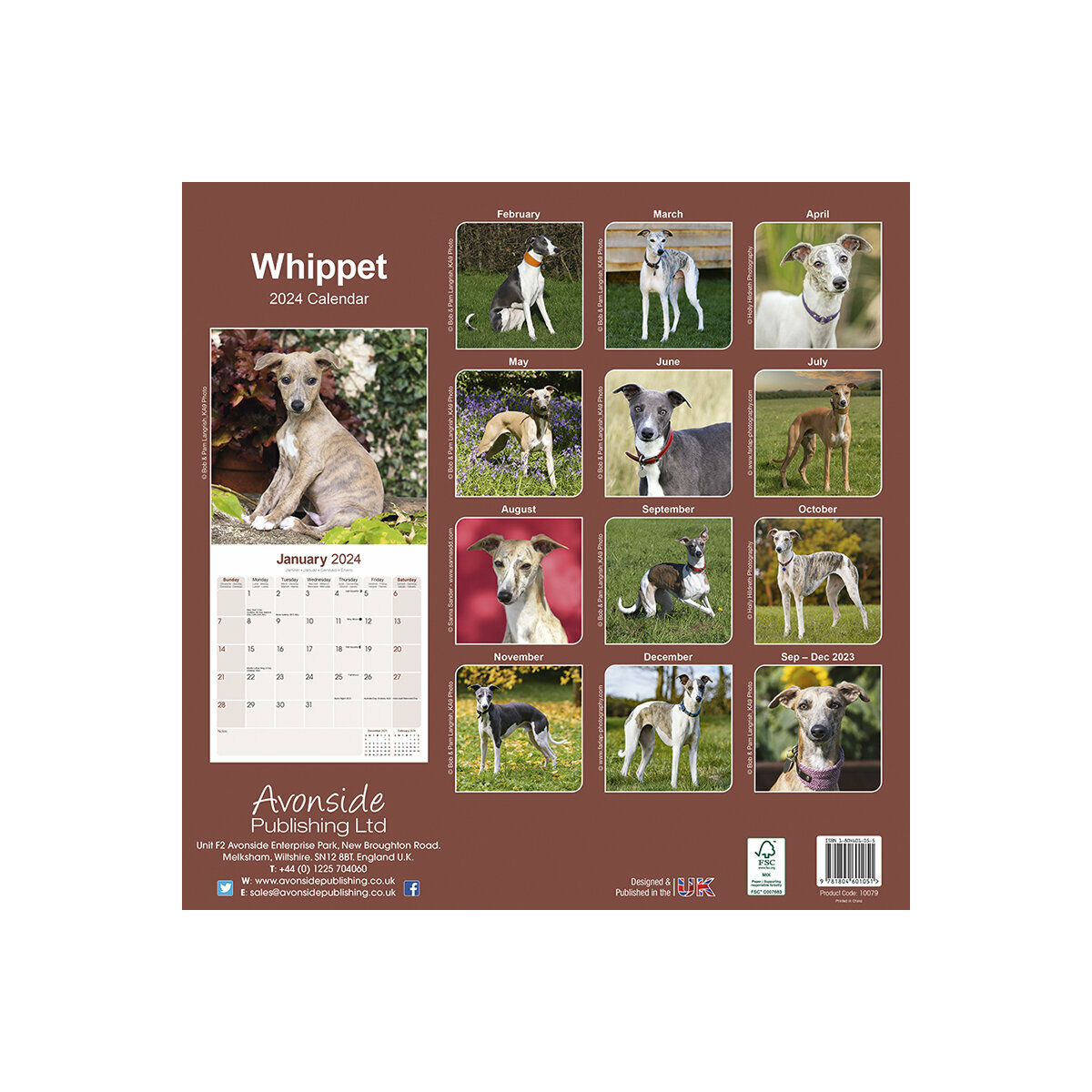 calendrier whippet 2025