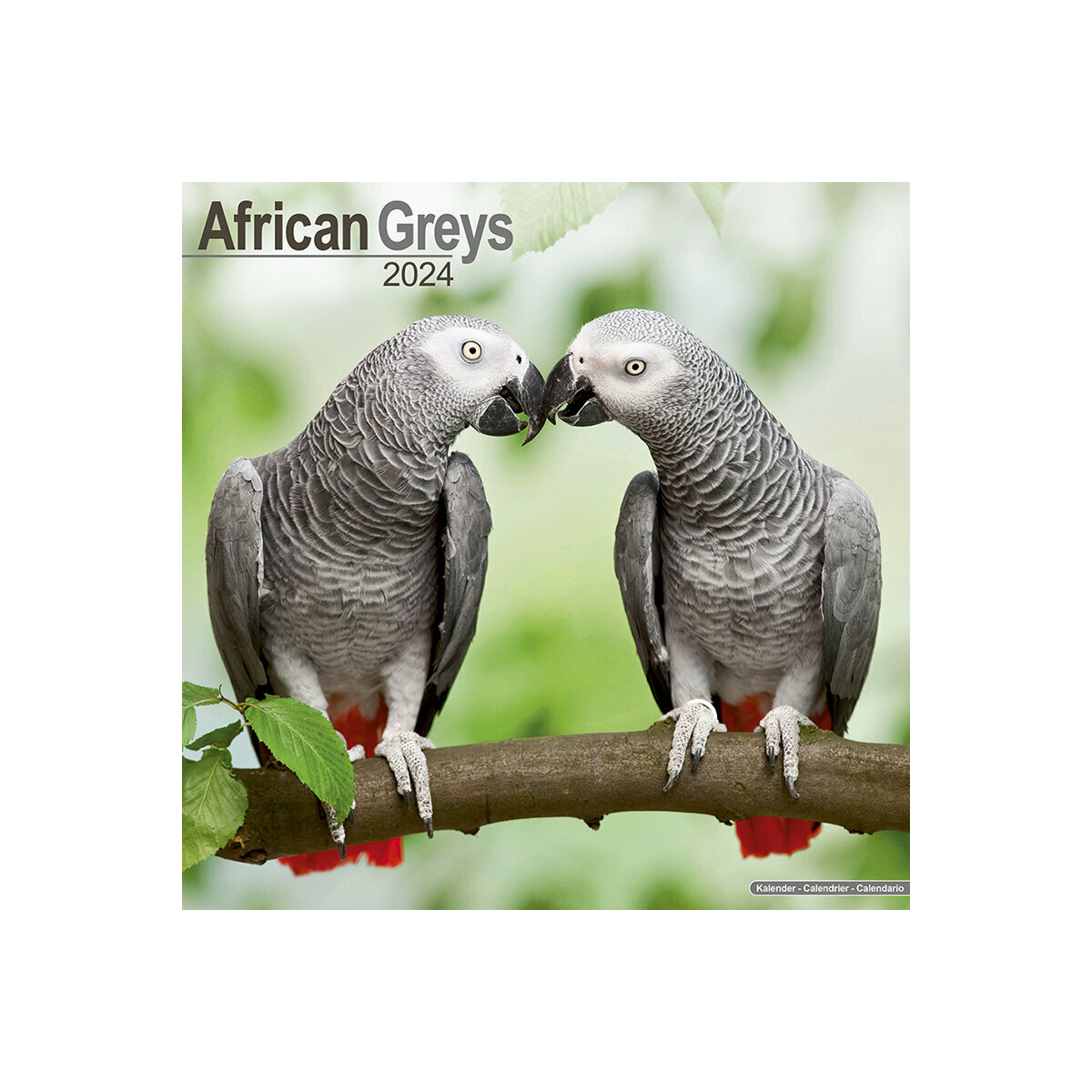 calendrier Gris du Gabon 2024