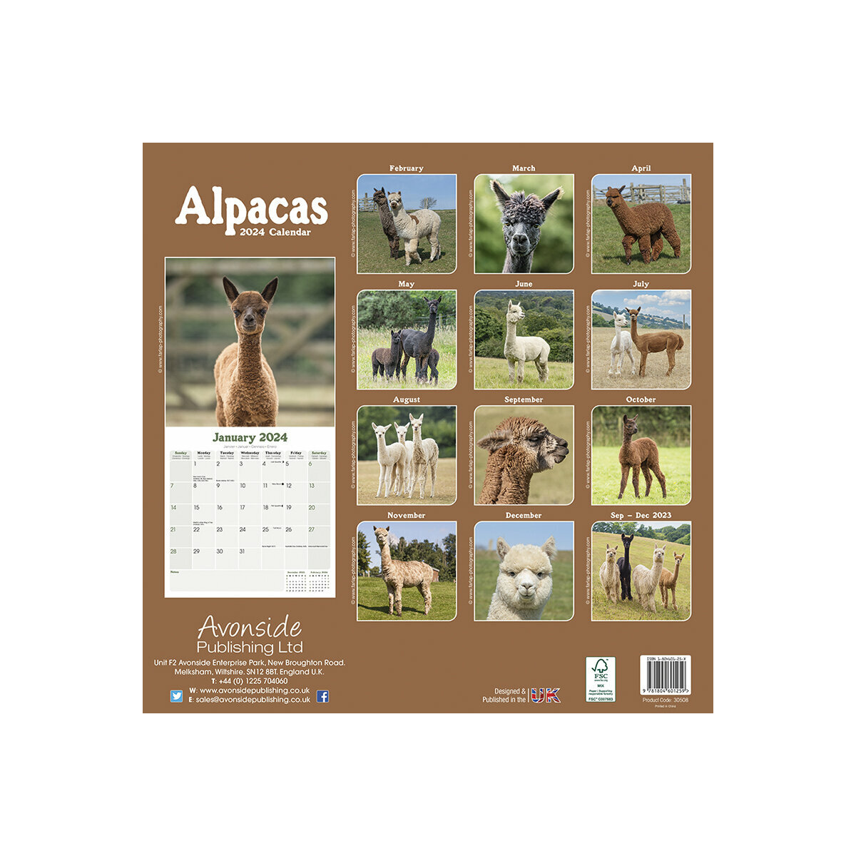 Calendrier 2024 Lama