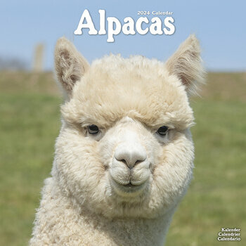 Calendrier 2024 Lama Calendrier 2024 Lama