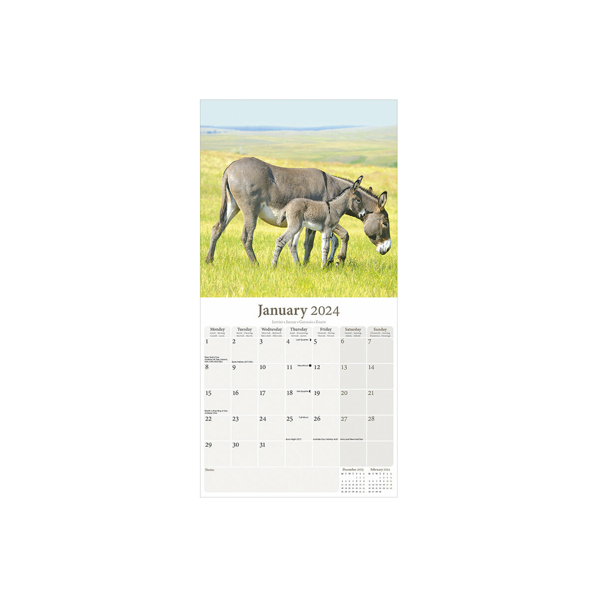 Calendrier 2024 Ane