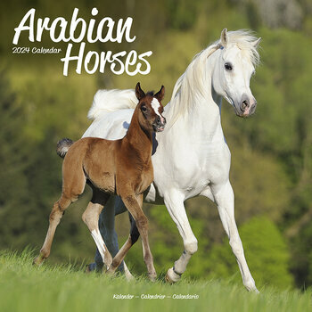 Calendrier 2024 Chevaux arabes Calendrier 2024 Chevaux arabes