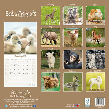 Calendrier 2024 Bebes animaux Calendrier 2024 Bebes animaux