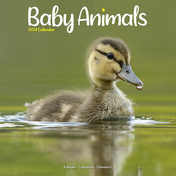 Calendrier 2024 Bebes animaux