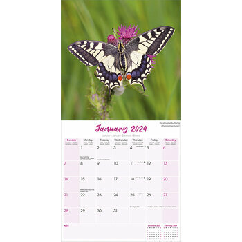 Calendrier 2024 Papillon Calendrier 2024 Papillon